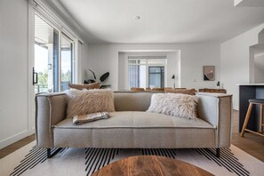 Smart TV, fireplace, books