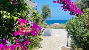 Um caminho pavimentado que leva a um edifício branco, com flores de bougainvillea de ambos os lados.