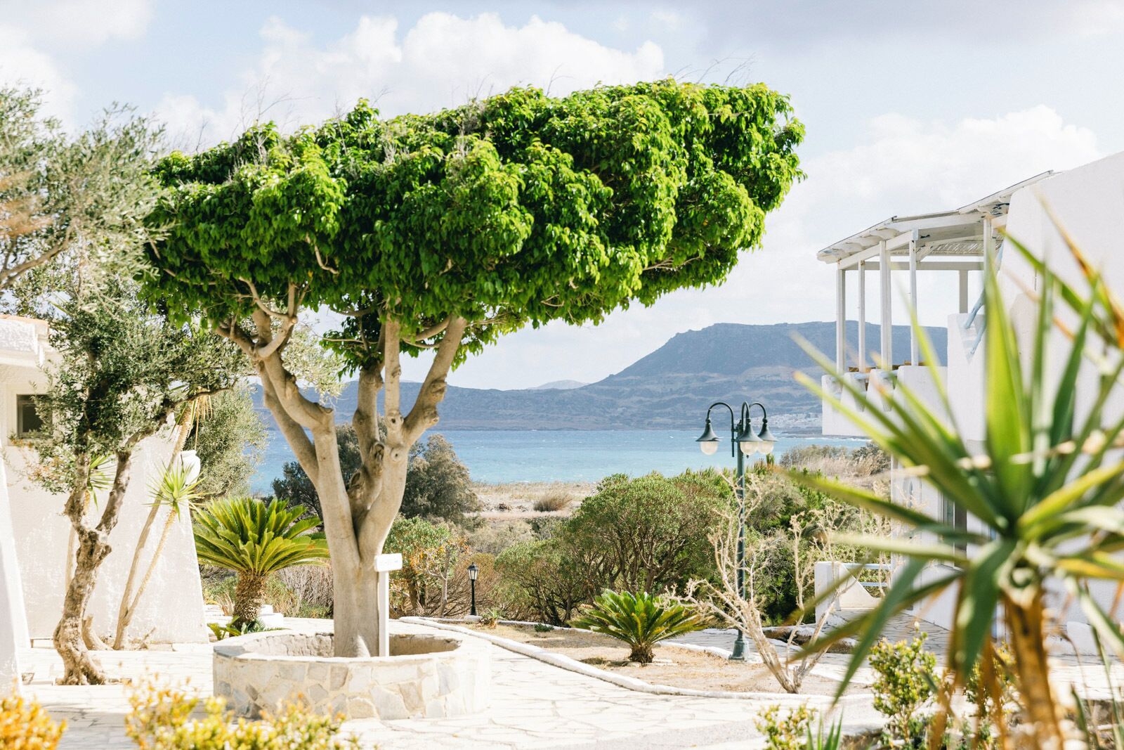 Foto - Lassion Hotel