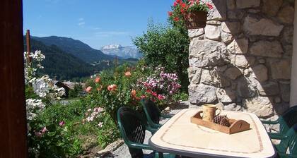 Buissiere N° 2 Appartement 3 Pieces Dans UN Vieux Chalet Traditionnel