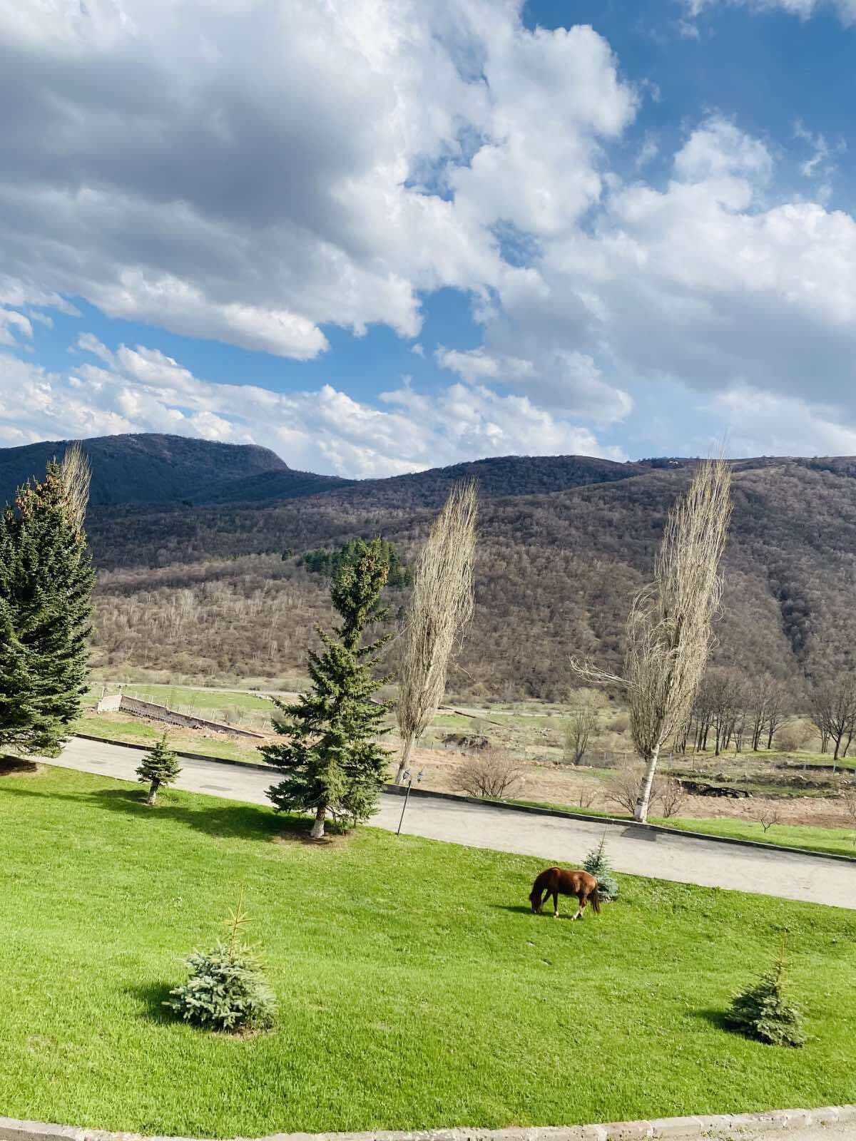 A grassy field with a horse grazing, surrounded by trees and mountains in the background.