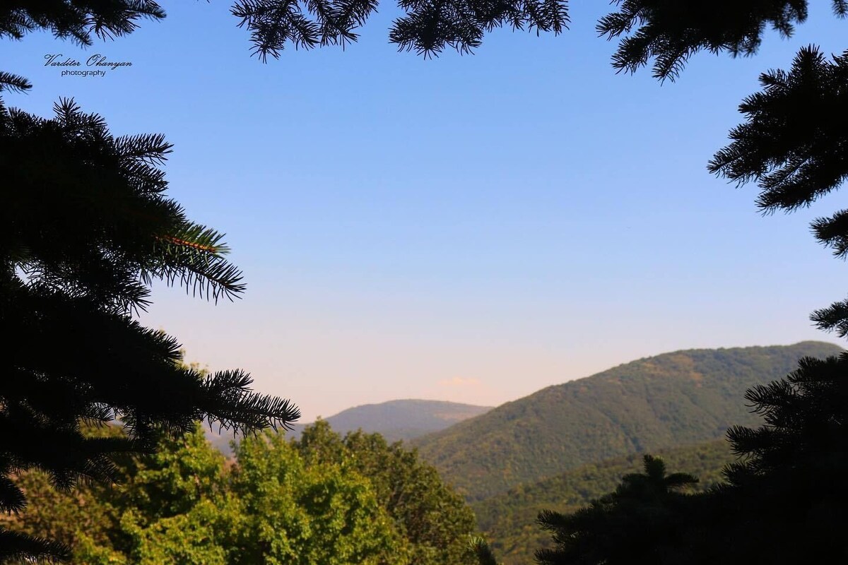 A mountainous landscape with dense forest and clear sky.