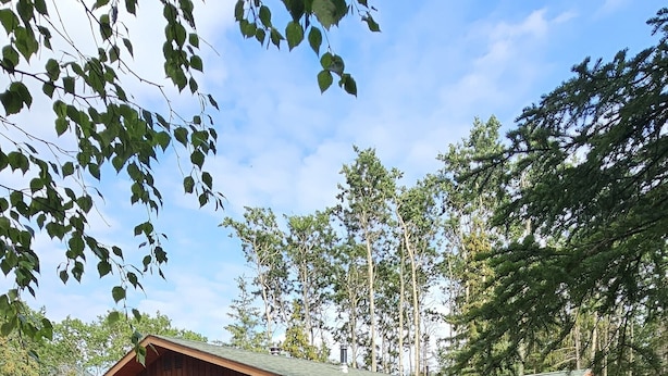 En stuga av trä med en veranda, en flagga och en trappa.