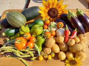 Alimentos y bebidas