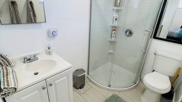 Hair dryer, towels, soap, toilet paper