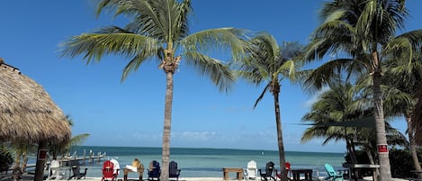 Nära stranden, solstolar och strandhanddukar