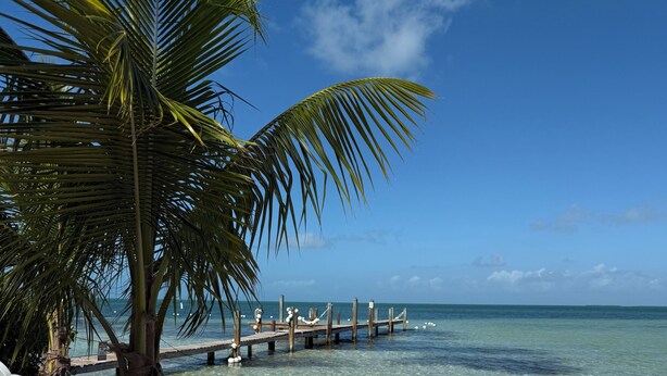 A beach with a white chair, a palm tree, and a wooden pier extending into the ocean. - ISLAMORADA DREAM (Islamorada)