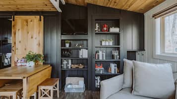 TV, DVD player, books, video library