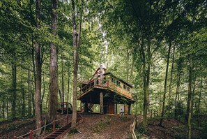 A treehouse with a wooden deck, built into a forested area with tall trees and a dirt path leading to it. - The White Oak Treehouse | Hocking Hills (South Bloomingville)