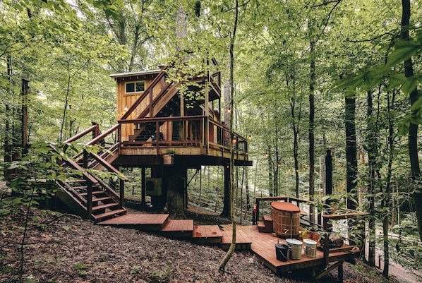 Ein hölzernes Baumhaus mit Treppe, eingebettet in einen bewaldeten Bereich.