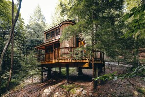 A wooden cabin elevated on stilts in a forest. - The Beech Treehouse | Hocking Hills (South Bloomingville)