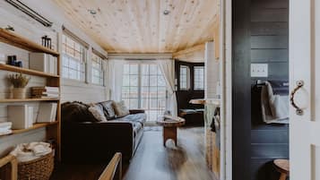 电视、壁炉、DVD 播放器、书