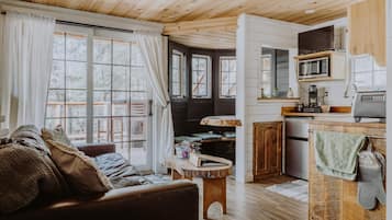 电视、壁炉、DVD 播放器、书