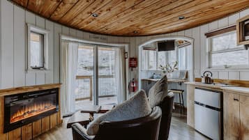 TV, fireplace, DVD player, books