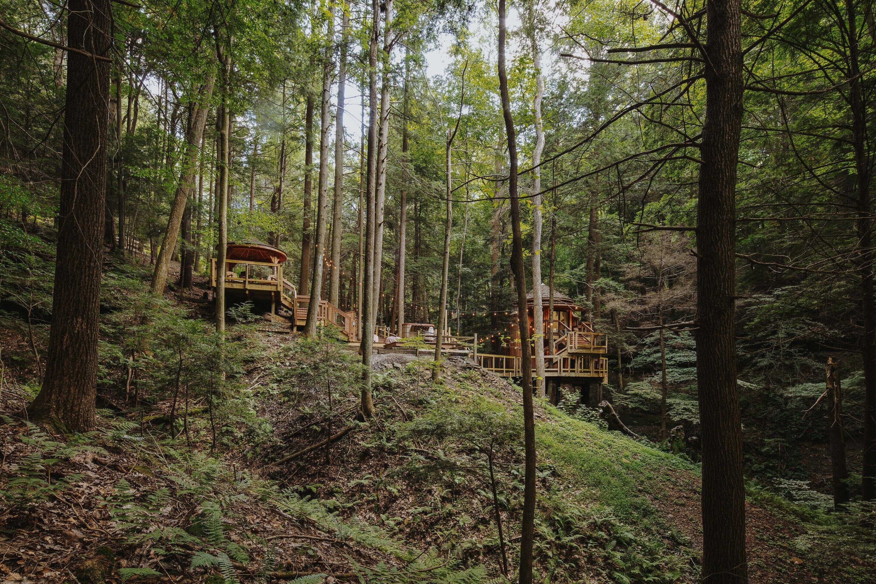 Une forêt où des structures en bois sont intégrées à la pente d’une colline, avec plusieurs niveaux et des escaliers.