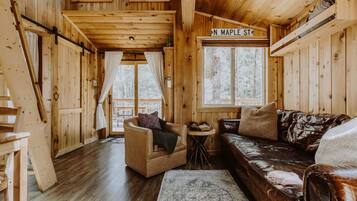 TV, fireplace, DVD player, books