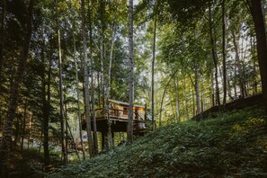 A treehouse elevated on stilts in a forest.