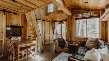 TV, fireplace, DVD player, books