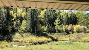 Un espace extérieur abrité comprenant une pelouse, un petit ruisseau et une forêt en arrière-plan.