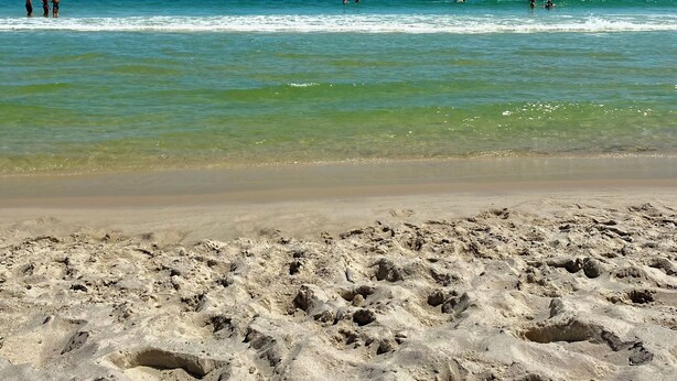 A sandy beach with footprints and a clear view of the ocean. - Beach Cottage/2 pools/Golf Cart Friendly/Beach Access (Gulf Shores)