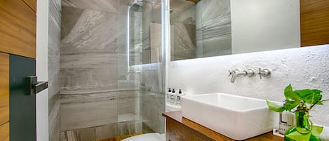 Chuveiro, secador de cabelo, toalhas de banho, sabonete