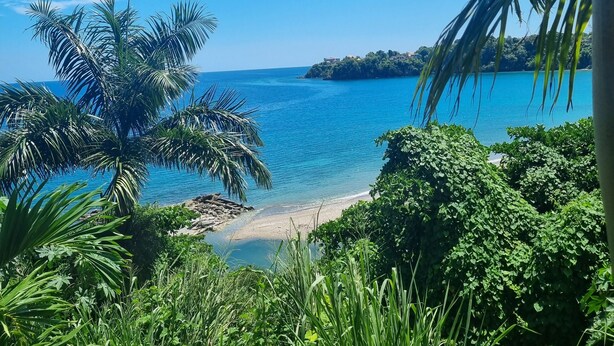 A tropical beach with palm trees and a clear view of the sea. - The cloud room At Csompo Silver Manor (Tower Isle)