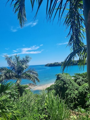Une plage tropicale bordée de palmiers, offrant une vue dégagée sur la mer.