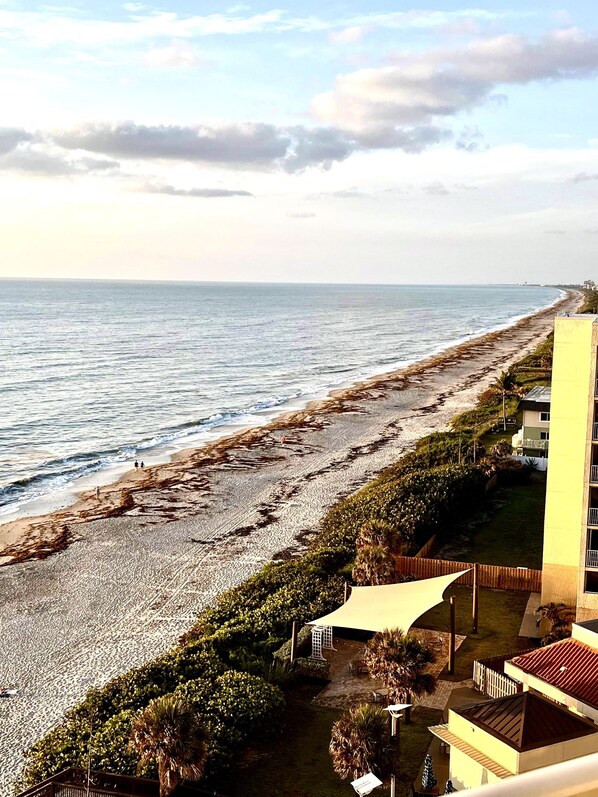 Beach - Tropical Home near Beaches, Nature and Culture in Melbourne (Melbourne)