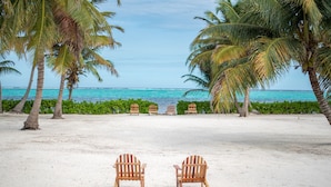 Deux chaises en bois, placées face à une plage bordée de palmiers, avec vue sur l’océan.