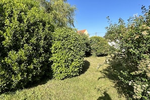 Área da propriedade