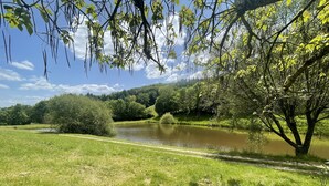 Un paisaje sereno a orillas del río, con un sendero claro que bordea un río tranquilo, rodeado de exuberante follaje y árboles.
