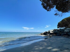 Beach - Petit Studio Dans Résidence Verdoyante, Proche mer et Rivière (Santa-Maria-Poggio)