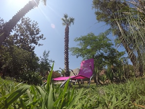 A chair in a garden with palm trees and greenery.