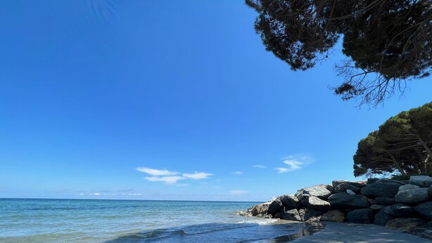 A beach with clear blue water, a rocky shoreline, and a tree line. - Studio Proche Mer/montagne, Lieu Calme et Convivial (Santa-Maria-Poggio)
