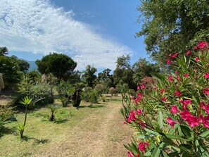Property grounds - Studio Proche Mer/montagne, Lieu Calme et Convivial (Santa-Maria-Poggio)