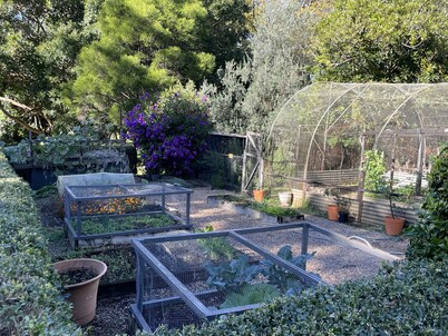 Broughton Studio - On 5 pristine acres just 5klm/5 minutes easy drive from Berry