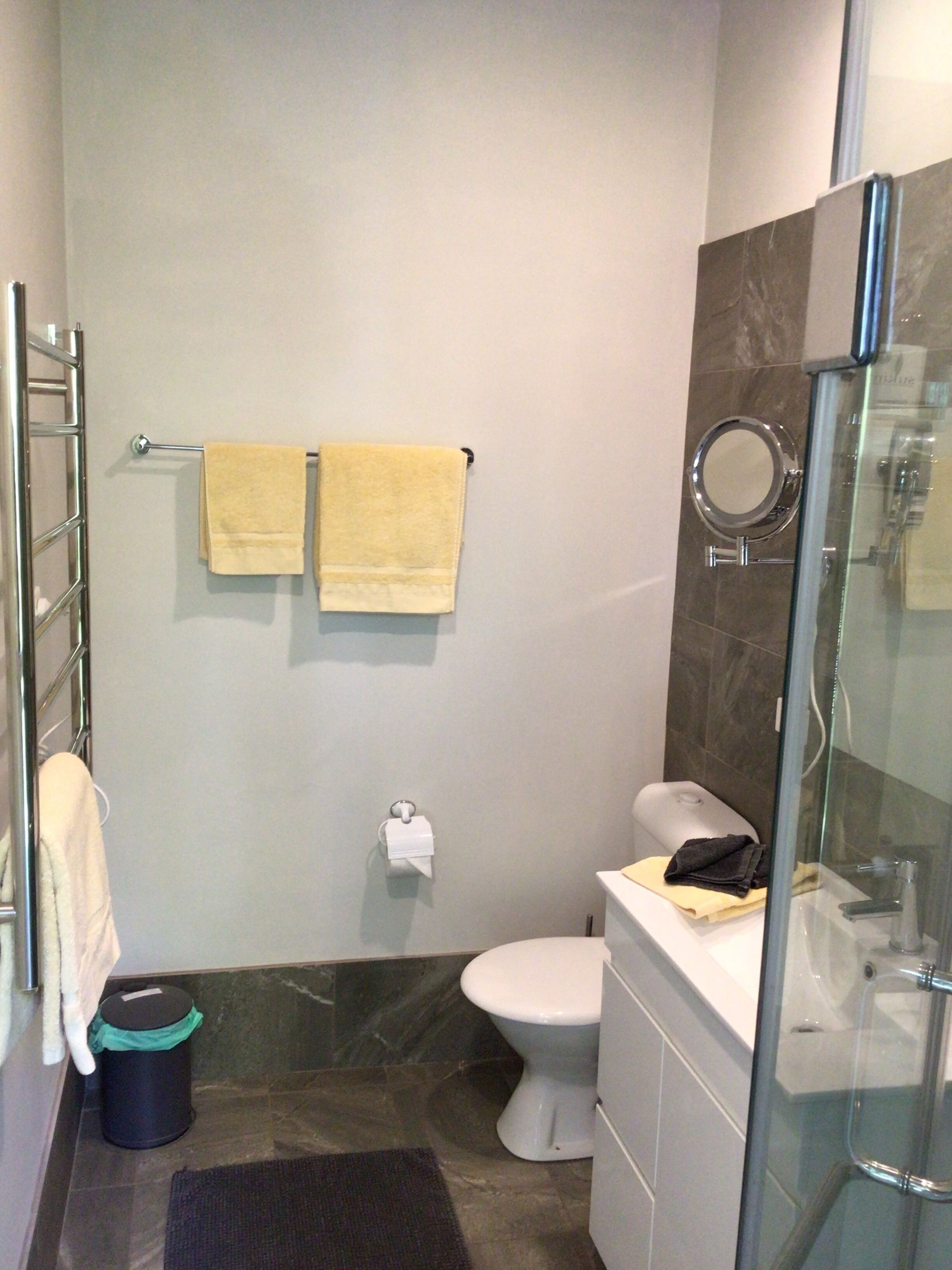 Een moderne badkamer met een douchecabine van glas, een toilet en een handdoekrek met twee handdoeken.