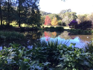 Àrea exterior de l'allotjament