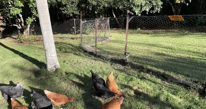 Broughton Studio - On 5 pristine acres just 5klm/5 minutes easy drive from Berry