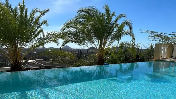 A clear blue infinity pool with palm trees and a mountain view.