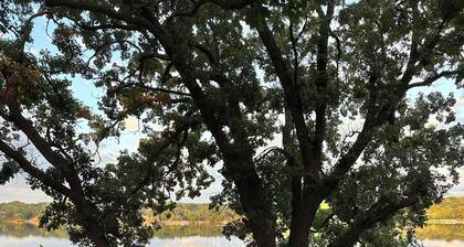 Private Okoboji Lakefront House with beautiful views - Newly remodeled