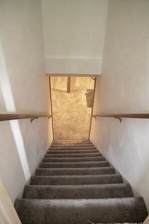 A staircase with carpeted steps and wooden handrails, leading to a landing with a patterned wall.