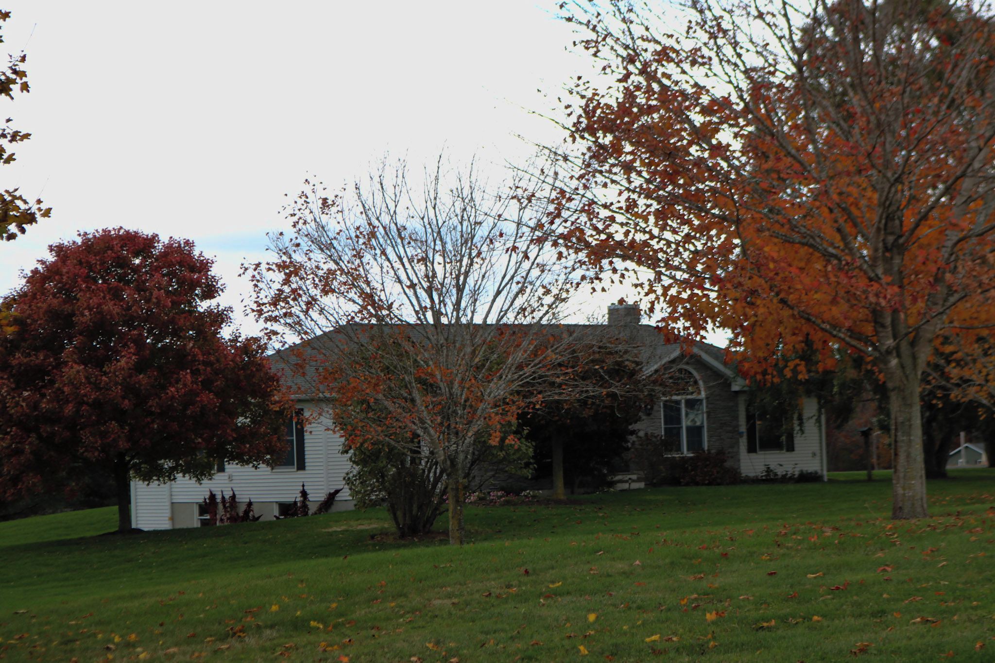 A house with a well-maintained lawn and a variety of trees in autumn colors.