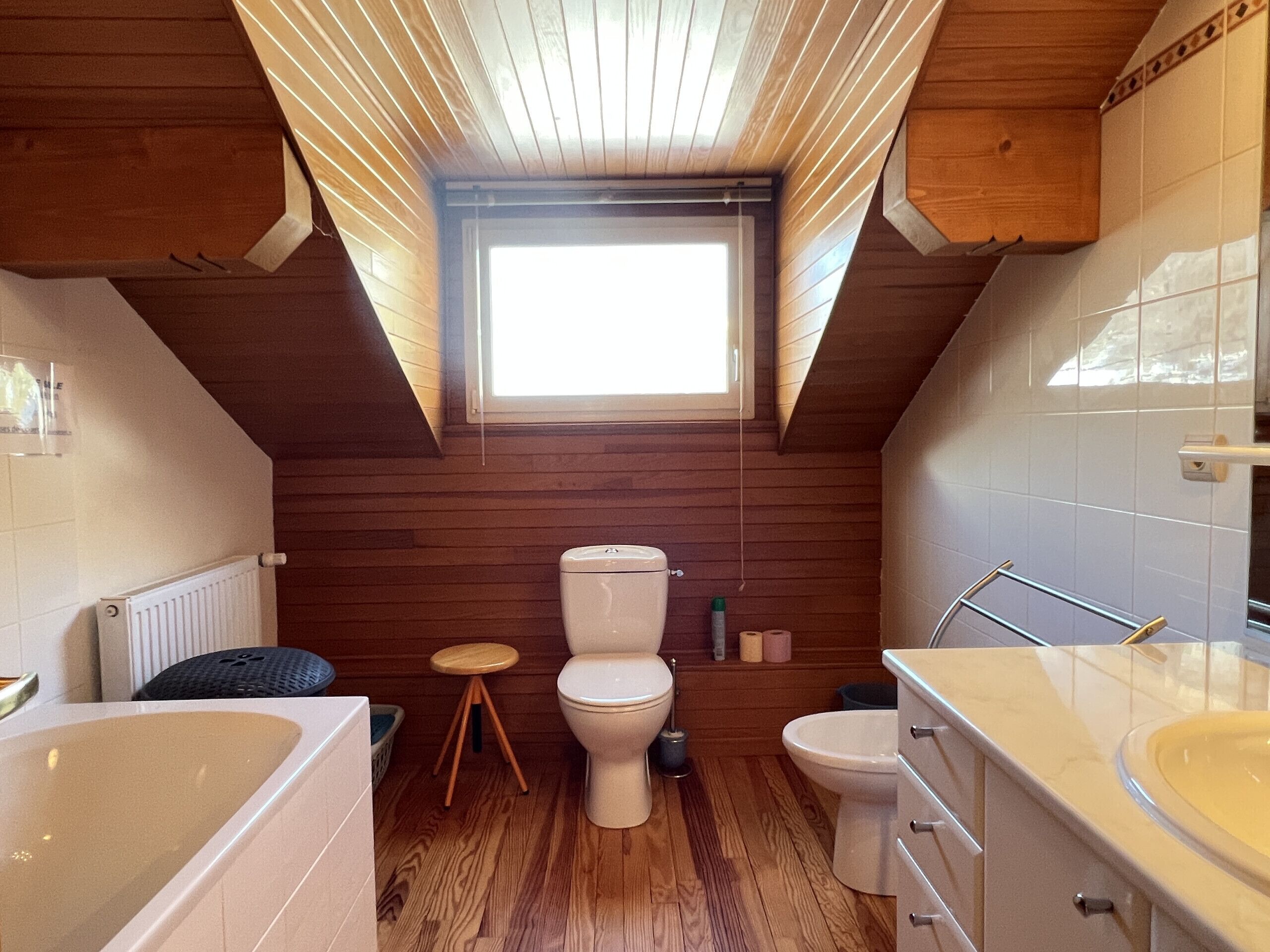 Bathtub, hair dryer