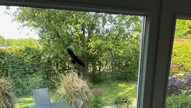 En patio med et bord og stole, en murstenssti og udsigt til en have med træer og buske.