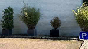 En bygning med en hvid murstensfacade, en belagt indkørsel og fire krukker med planter.