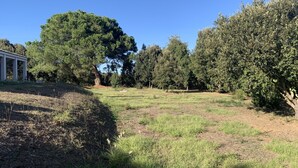 A grassy field with trees and a white building with columns.