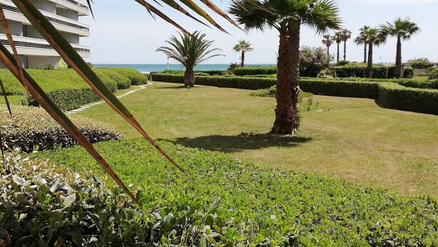 A well-maintained garden with palm trees, a pathway, and a view of the sea. - Studio Canet Plage (CANET PLAGE)