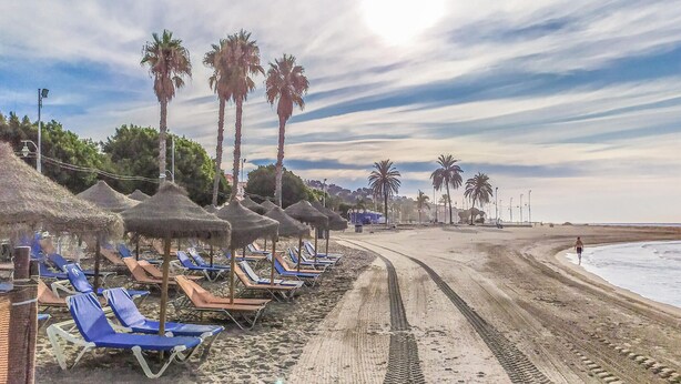 Een strand met rijen ligbedden en rieten parasols, palmbomen en een heldere lucht.