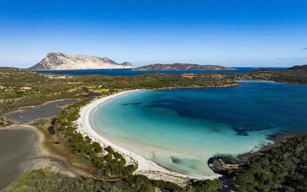 Playa en los alrededores 